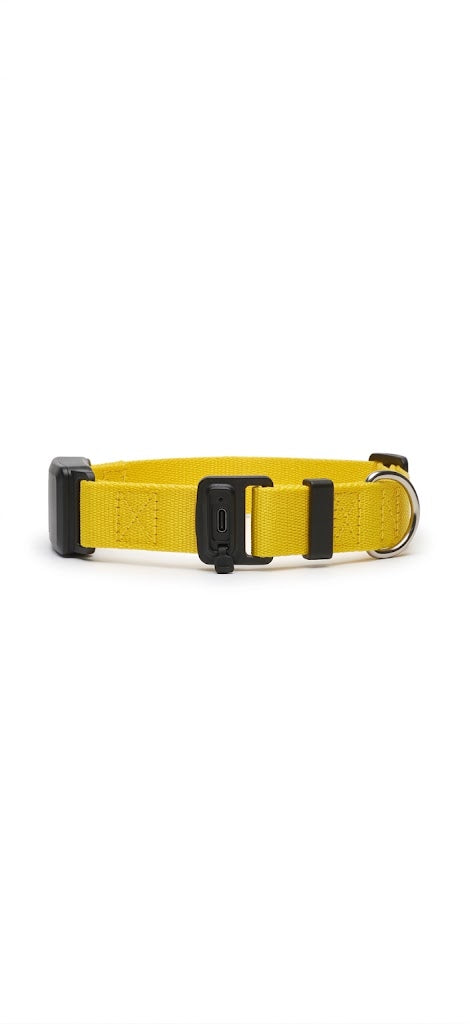 Collar Rastreador